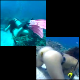 A some women are scuba diving when one of them has to take an underwater shit! This is a Japanese video production. About 2.5 minutes.